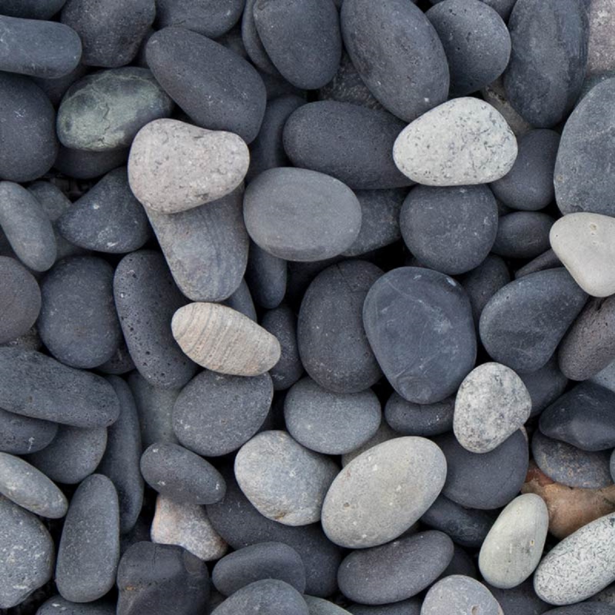 Beach Pebbles zwart 8-16mm - 03 beach pebbles 8 16 groot - Beach Pebbles zwart 8-16mm Midibag