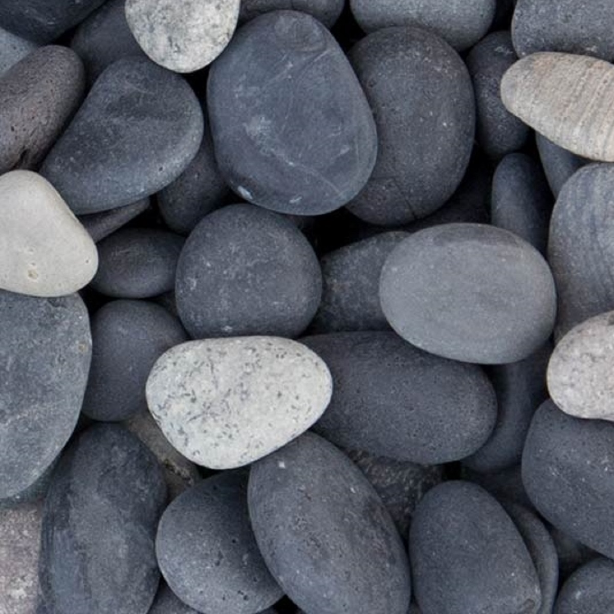 Beach Pebbles zwart 16-25mm - 04 beach pebbles 16 25 groot - Beach Pebbles zwart 16-25mm Midibag