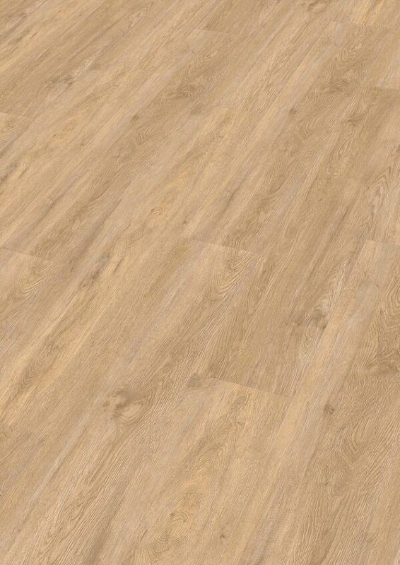 Meister Dryback-Vinyl DD155 Vogue (plak PVC) 20195 - 20195 rigid vinyl rd200s perspektive 600x848 2 - Meister DD155 20195
