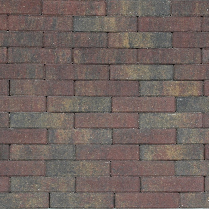 Tremico Betonstraatsteen Bont 6cm dikte diverse afmetingen - 206909 tremico waalformaat 5x20x6 cm bont 50000263 - Tremico Bont 20x5x6cm