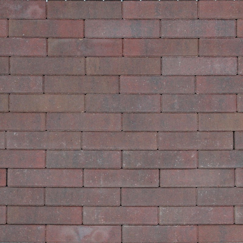 Tremico Betonstraatsteen Oud Bont 6cm dikte diverse afmetingen - 206910 tremico waalformaat 5x20x6 cm oud bont 50000264 - Tremico Oud Bont 20x5x6cm
