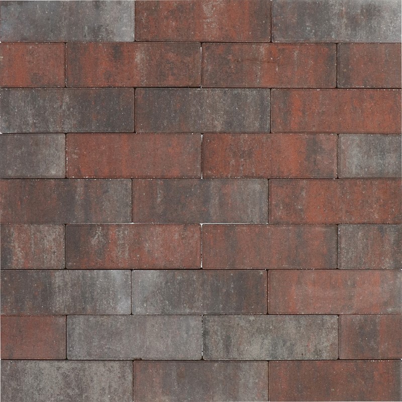 Tremico Betonstraatsteen Twents Bont 6cm dikte diverse afmetingen - 208851 tremico dikformaat 20x67x6 cm twents bont m 50005622 - Tremico Twents Bont 20x5x6cm
