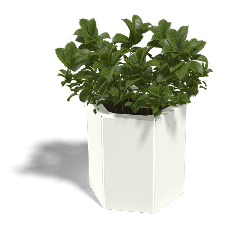 Gepoedercoat Staal Plantenbak Denver 20 diverse hoogtes - Denver 20x40 ral9010 1 - Gepoedercoate Denver 20 Hoogte 30cm
