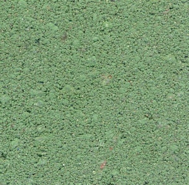 Gekleurde betontegel groen 5cm dik diverse afmetingen - Groen 5 - Gekleurde betontegel groen 50x50x5cm