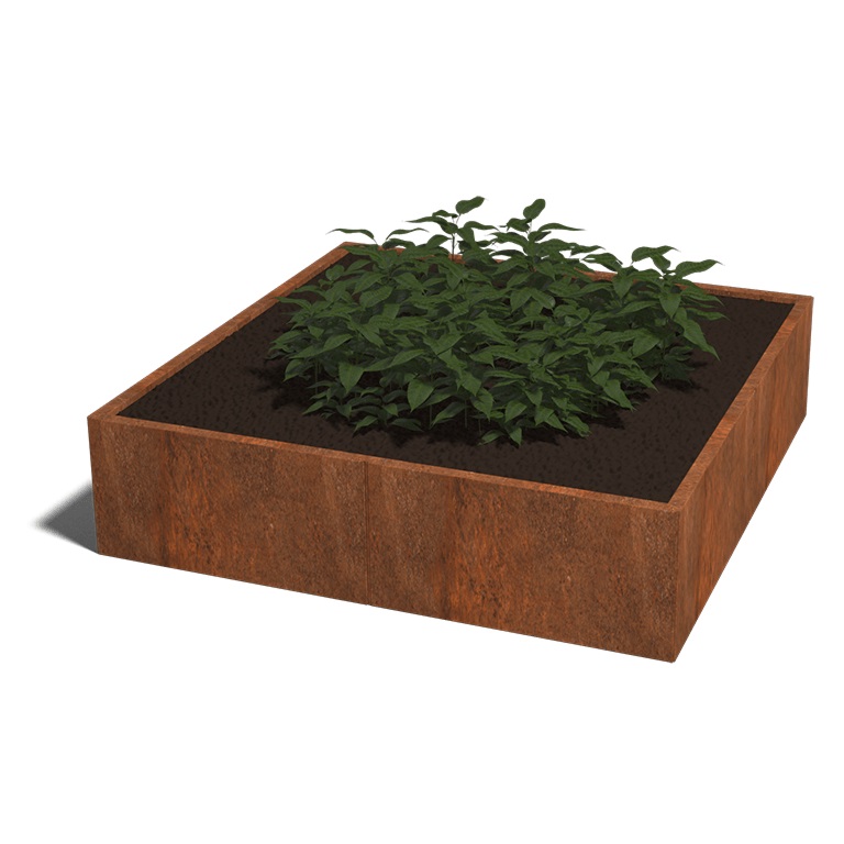 Cortenstaal Plantenbak Miami XXL 160x160cm diverse hoogtes - Miami xxl 160x160x40 corten 1 - Cortenstaal Plantenbak Miami 160x160x30cm