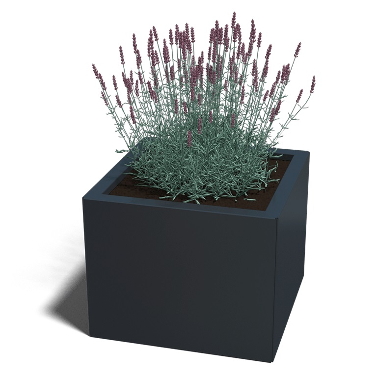 Gepoedercoat Staal Plantenbak Miami 50x50cm diverse hoogtes - Miami50x50x40 ral7016 1 - Gepoedercoate Plantenbak Miami 50x50x30cm