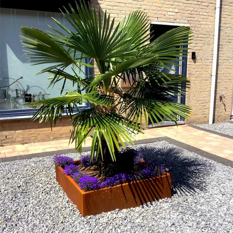 Cortenstaal Plantenbak Miami 100x100cm diverse hoogtes - Pbcomi1000x1000x300 12 - Cortenstaal Plantenbak Miami 100x100x30cm