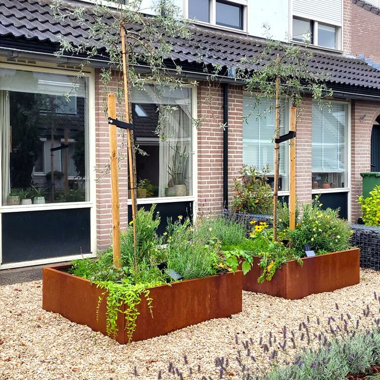 Cortenstaal Plantenbak Miami 120x120cm diverse hoogtes - Pbcomi1200x1200x400 18 1 - Cortenstaal Plantenbak Miami 120x120x30cm