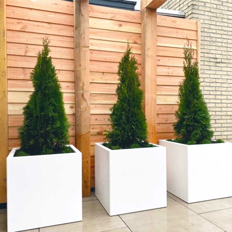 Gepoedercoat Staal Plantenbak Miami 60x60cm diverse hoogtes - Pbcomi600x600x600ral9010 3 - Gepoedercoate Plantenbak Miami 60x60x30cm