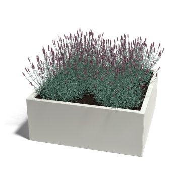 Gepoedercoat Staal Plantenbak Miami 100x100cm diverse hoogtes - Miami100x100x40 ral9010 1 - Gepoedercoate Plantenbak Miami 100x100x30cm