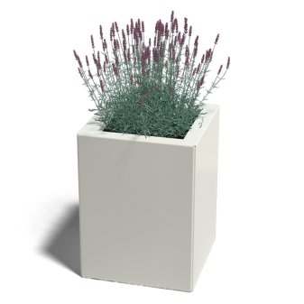 Gepoedercoat Staal Plantenbak Miami 30x30cm diverse hoogtes - Miami30x30x40 ral9010 1 - Gepoedercoate Plantenbak Miami 30x30x30cm