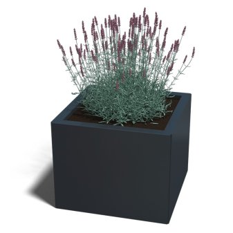 Gepoedercoat Staal Plantenbak Miami 50x50cm diverse hoogtes - Miami50x50x40 ral7016 1 - Gepoedercoate Plantenbak Miami 50x50x30cm