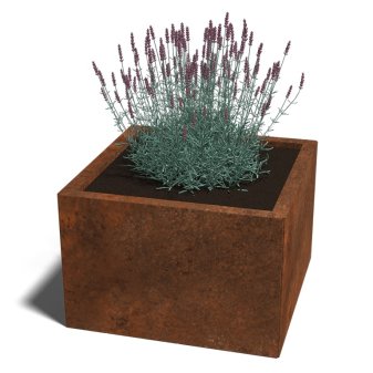 Cortenstaal Plantenbak Miami 60x60cm diverse hoogtes - Miami60x60x40 corten 1 - Cortenstaal Plantenbak Miami 60x60x30cm