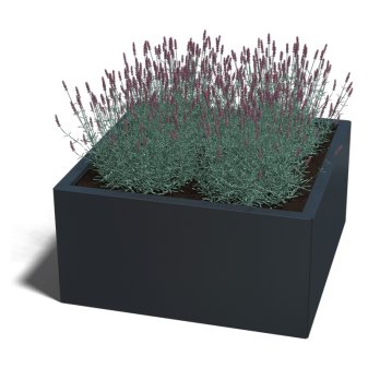 Gepoedercoat Staal Plantenbak Miami 80x80cm diverse hoogtes - Miami80x80x40 ral7016 1 - Gepoedercoate Plantenbak Miami 80x80x30cm