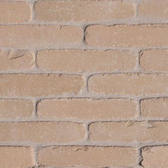 Rijnformaat Madelief - Rijnformaat madelief - Rijnformaat 003