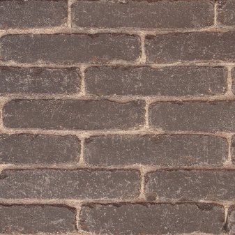 Rijnformaat Roerdomp - Rijnformaat roerdomp - Rijnformaat 007