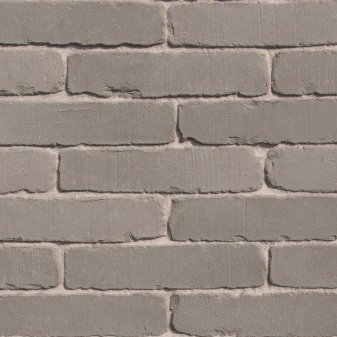 Rijnformaat Sleutelbloem - Rijnformaat sleutelbloem - Rijnformaat 008