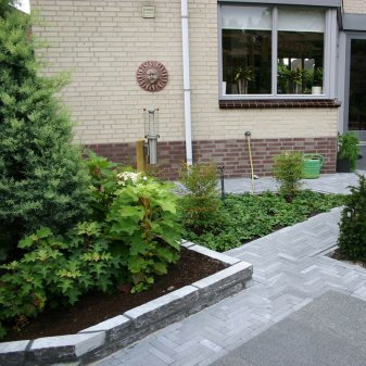 Paving Line Vietnamese Hardsteen Grof Geschuurd 20x5x5cm - Waalformaat vietnamese hardsteen grof geschuurd 1 1 - Paving Line Vietnamees Geschuurd waalformaat 