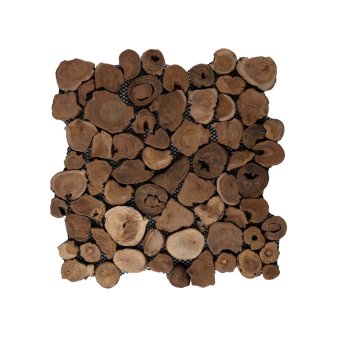 Houtpaneel 04 munt wortel - Woodpanel 04 coin - BN113 paneel 04 munt wortel