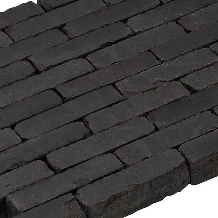Waalformaat Akkermunt antiek - Waalformaat akkermunt antiek - Waalformaat 022